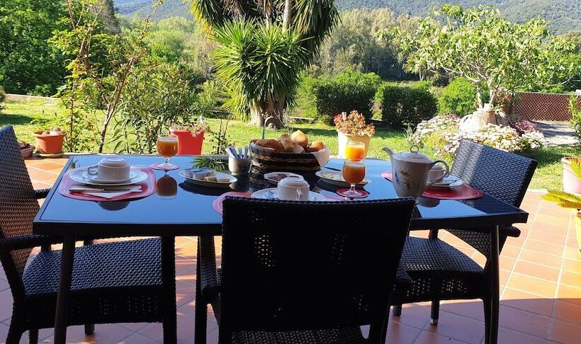 פנסיון House Angeli