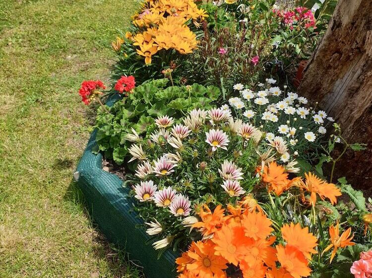 פנסיון House Angeli