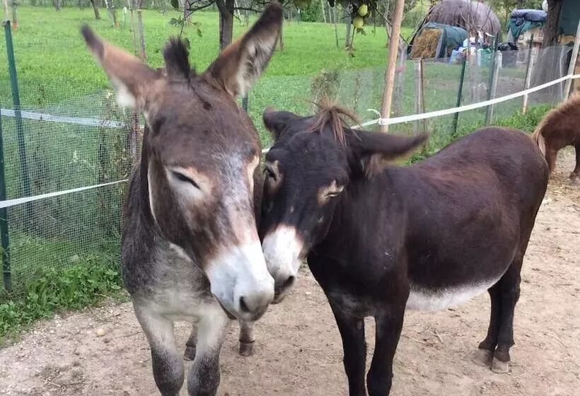 Majatalo Locanda Dei Rii
