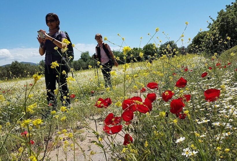 Hotel Alterna Koy Evi