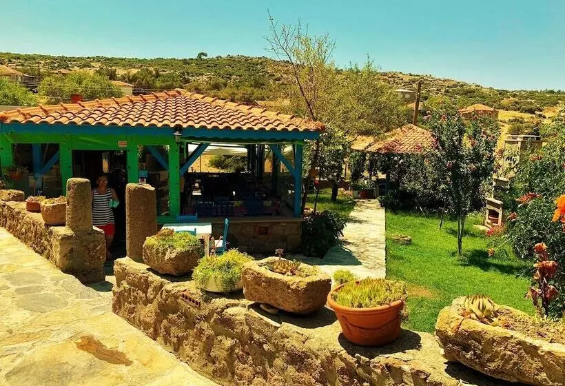 ホテル Alterna Koy Evi