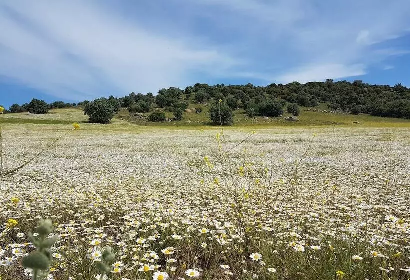 ホテル Alterna Koy Evi