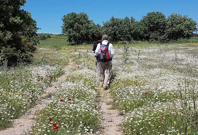 ホテル Alterna Koy Evi