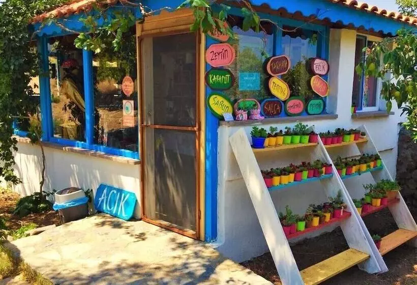 ホテル Alterna Koy Evi