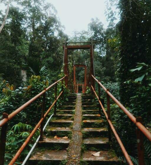 Hotel Sinharaja Forest Gate