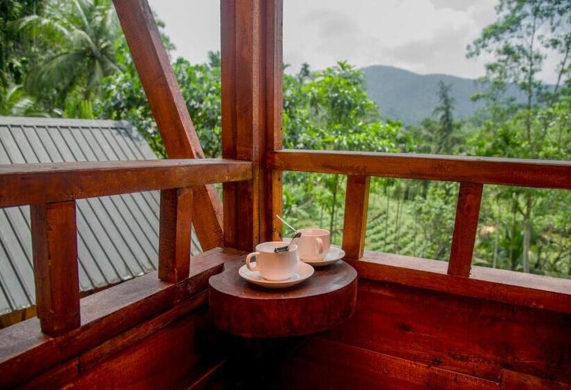 Hotel Sinharaja Forest Gate