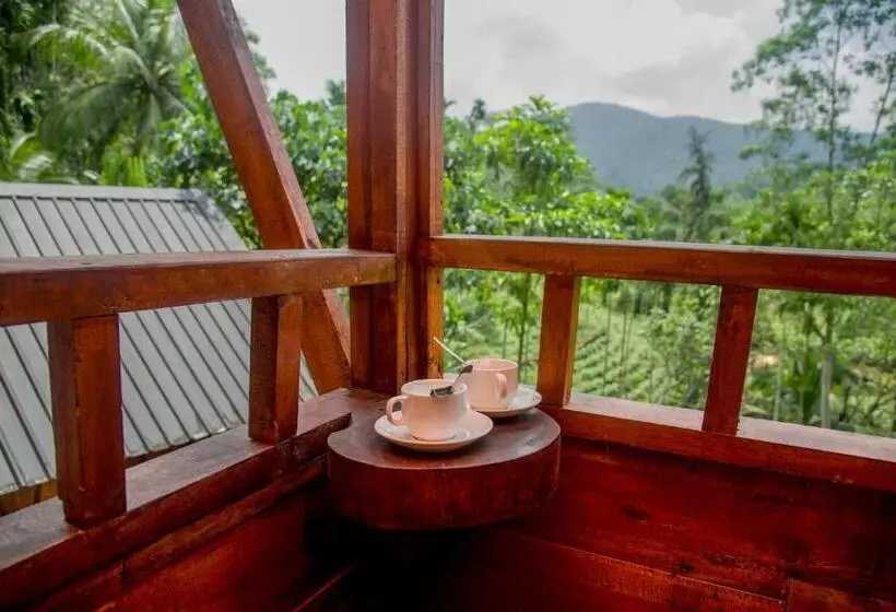 Hotelli Sinharaja Forest Gate