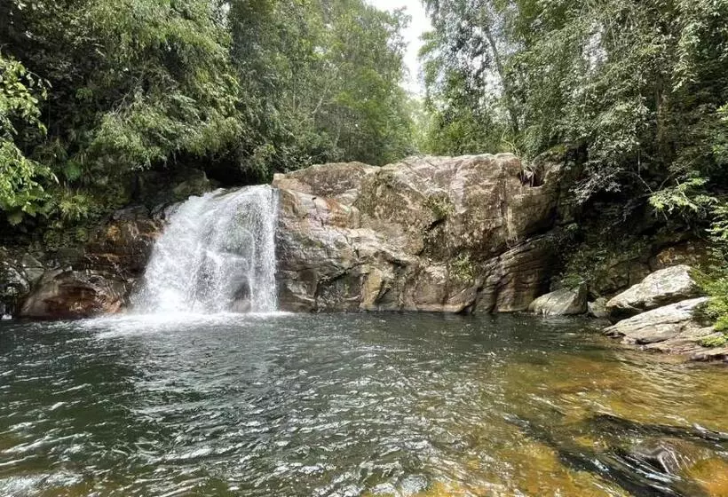 Hotelli Sinharaja Forest Gate