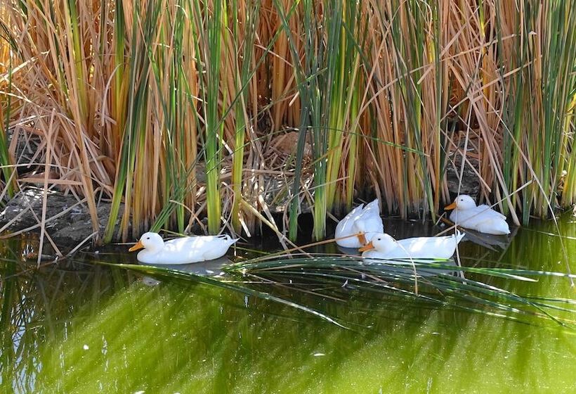 Eden Self Catering Chalets