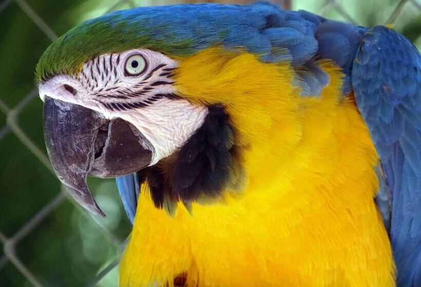 Eden Self Catering Chalets