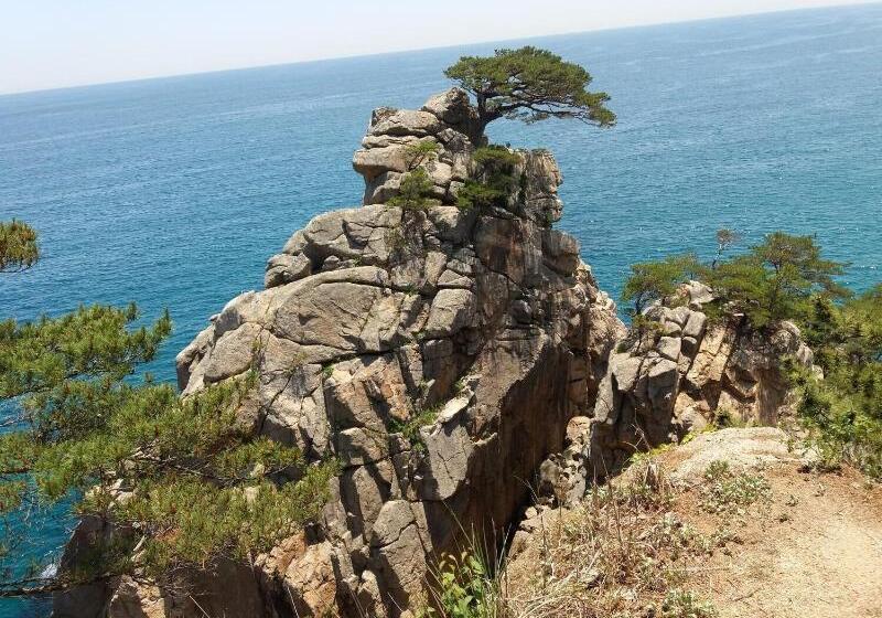 ホテル Izmir Pension