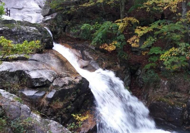 ホテル Izmir Pension