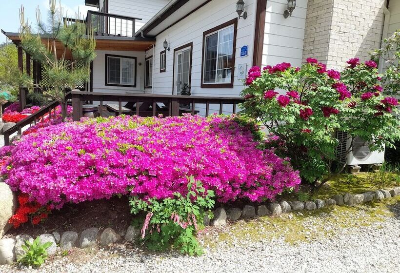 ホテル Izmir Pension