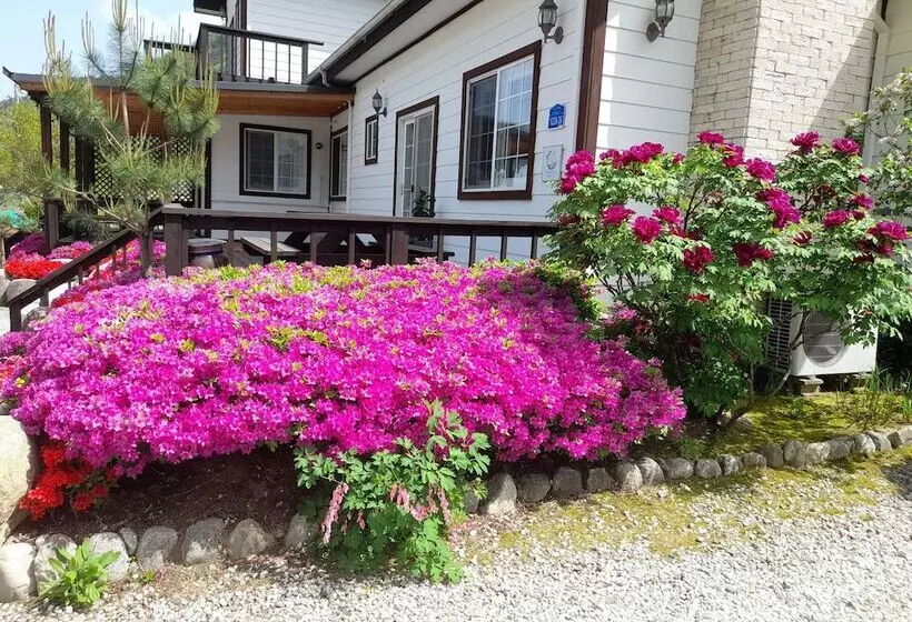 ホテル Izmir Pension