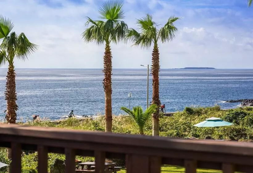 ホテル Longbeach Pension