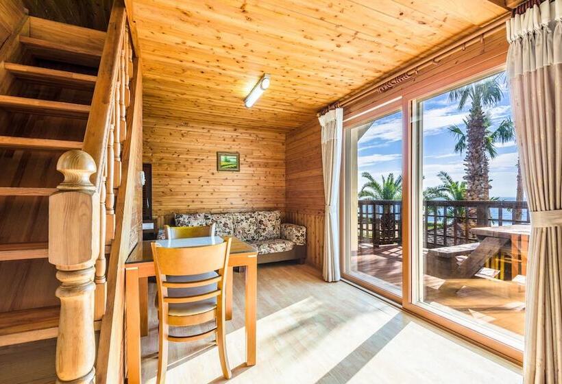 Hotel Longbeach Pension