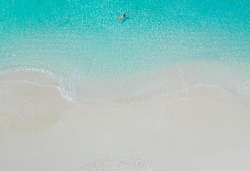 هتل Alexandra Resort All Inclusive