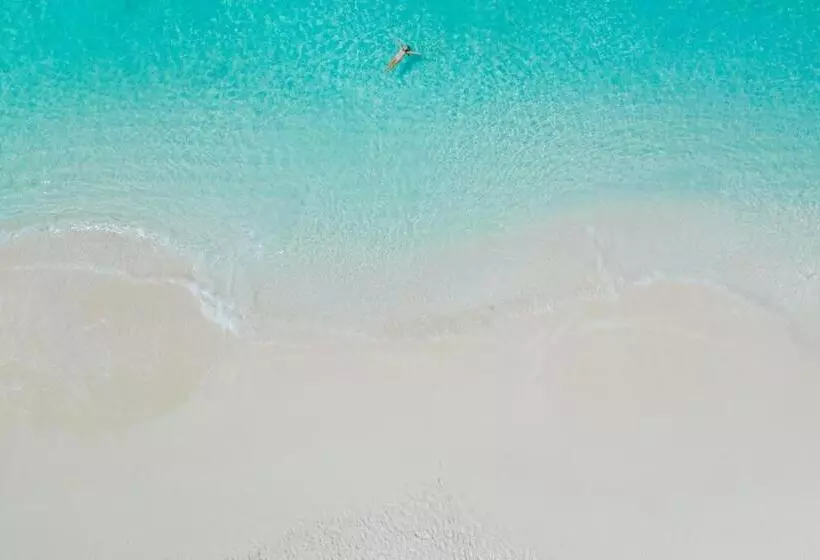 هتل Alexandra Resort  All Inclusive