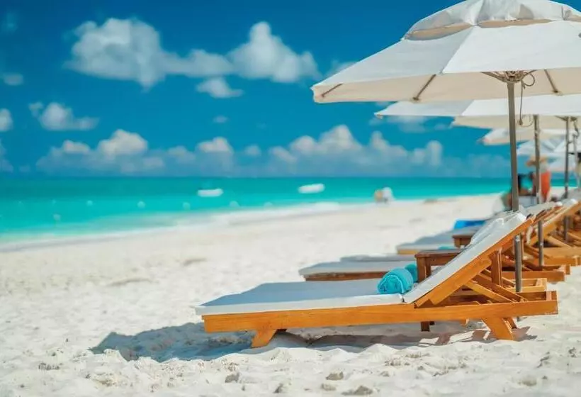 هتل Alexandra Resort  All Inclusive