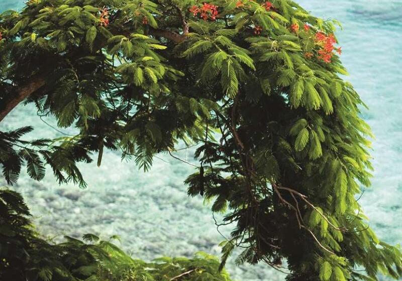 La Samanna, A Belmond Hotel, St Martin