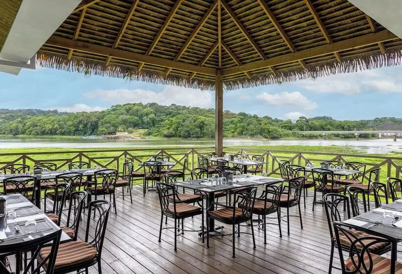 酒店 Gamboa Rainforest Reserve