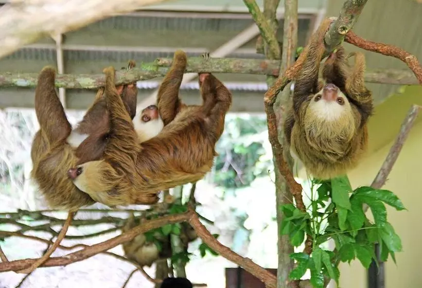 酒店 Gamboa Rainforest Reserve