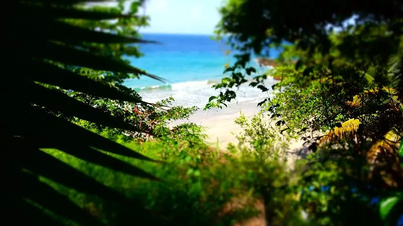 هتل Half Moon Blue