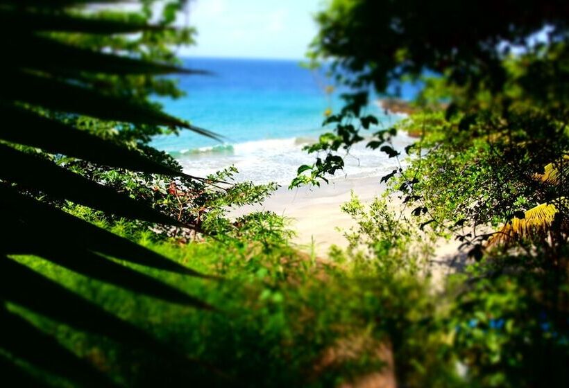 هتل Half Moon Blue