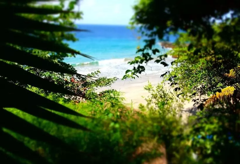 هتل Half Moon Blue