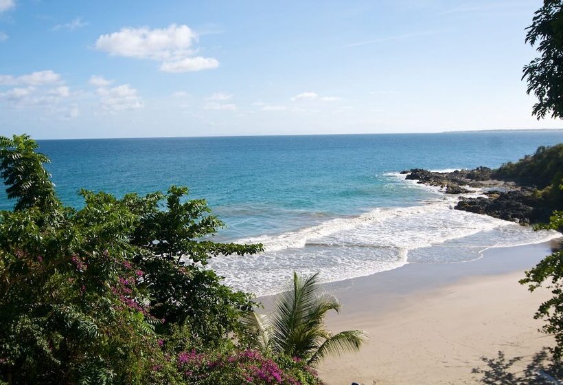 هتل Half Moon Blue