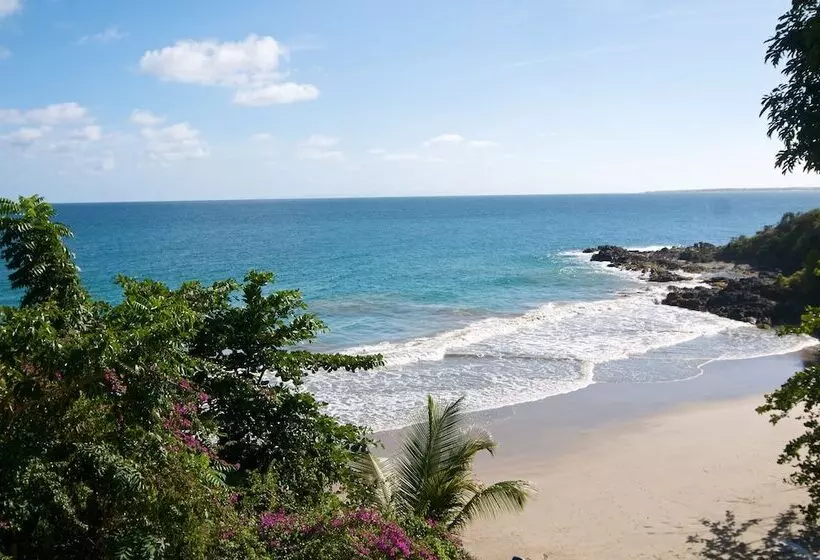 هتل Half Moon Blue