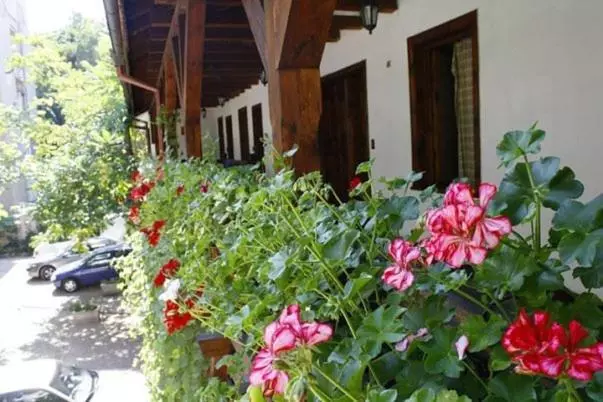 Hotel Hostel Mostel Sofia