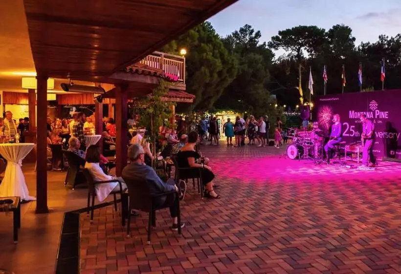 Hotel Montana Pine Resort   All Inclusive