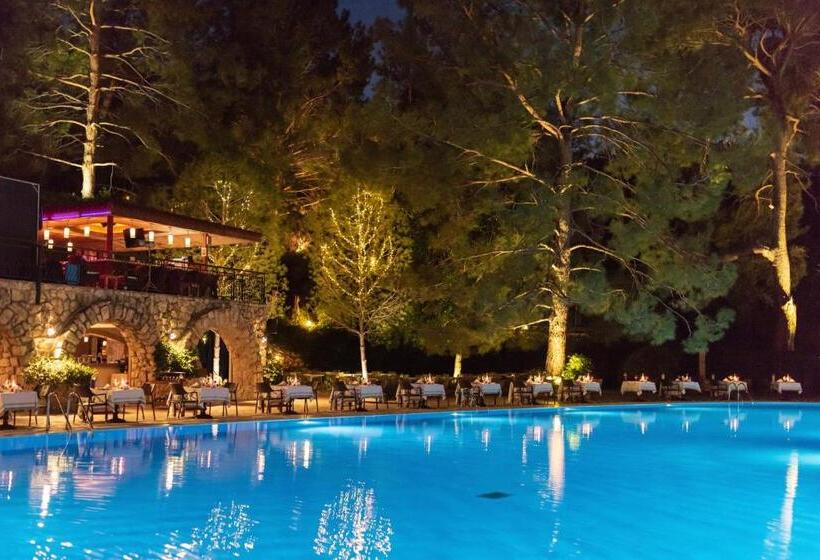 Hotel Montana Pine Resort   All Inclusive