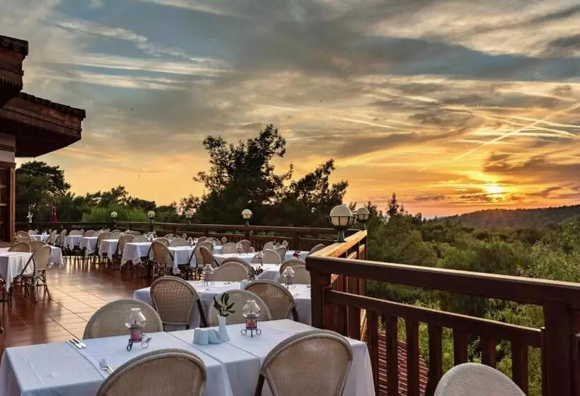 Hotel Montana Pine Resort   All Inclusive