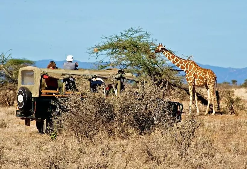 هتل Samburu Intrepids Tented Camp