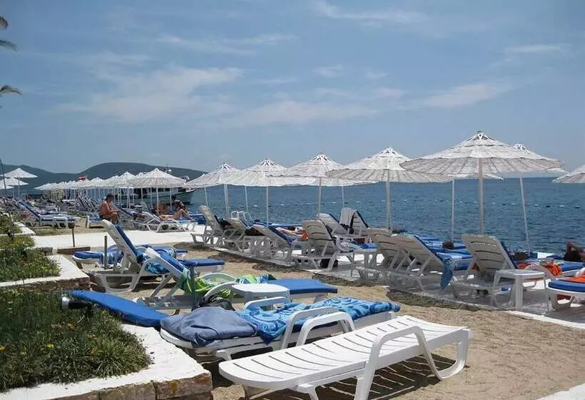 Sky Vela Hotel   All Inclusive