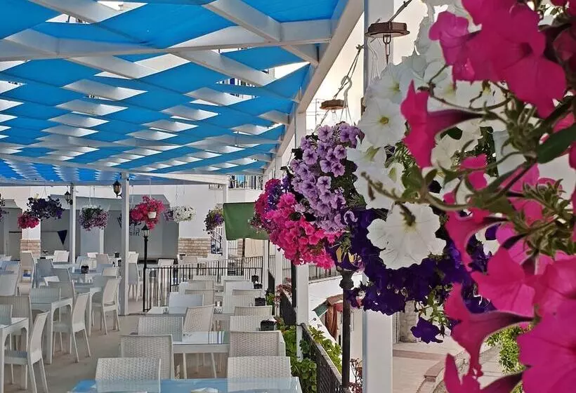 Sky Vela Hotel   All Inclusive