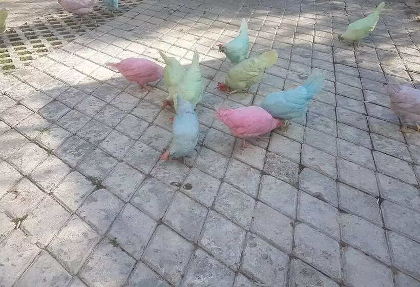 Garden Otel Amasya