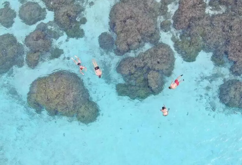 هتل Thoddoo Island Life