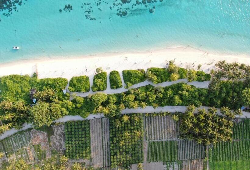 هتل Thoddoo Island Life