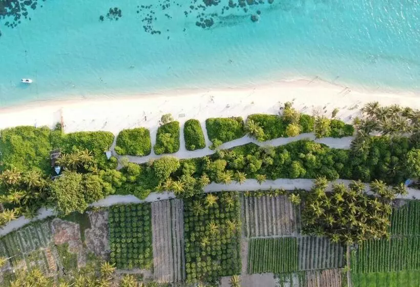 هتل Thoddoo Island Life