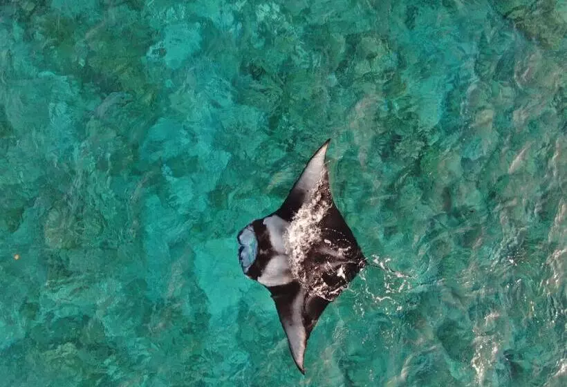 هتل Thoddoo Island Life