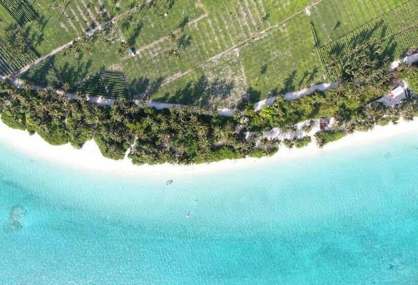 هتل Thoddoo Island Life