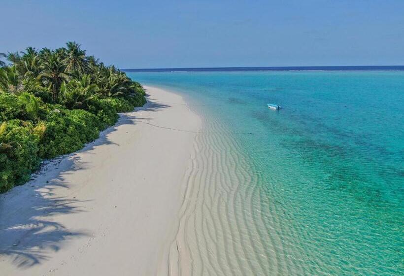 هتل Thoddoo Island Life