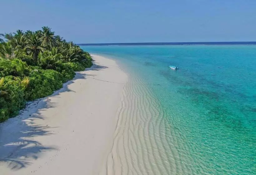 هتل Thoddoo Island Life