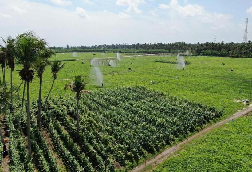 هتل Thoddoo Island Life