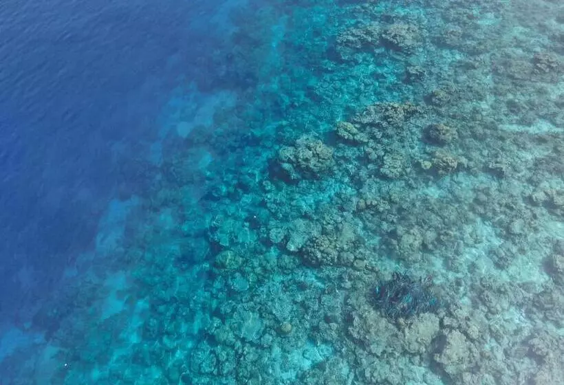 هتل Thoddoo Island Life