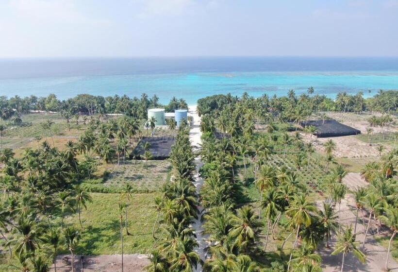 هتل Thoddoo Island Life