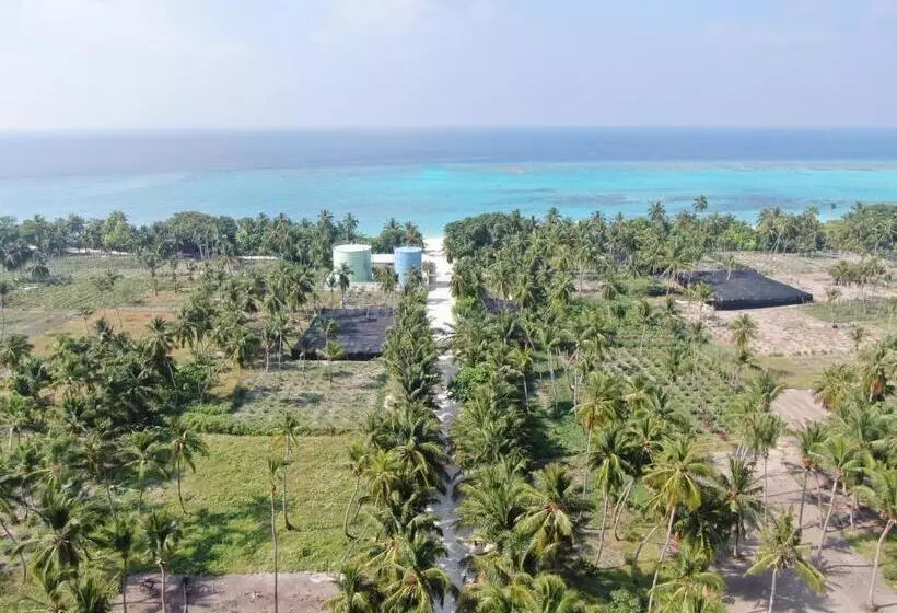 هتل Thoddoo Island Life